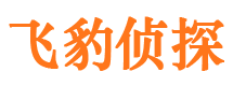 宜宾市私家侦探